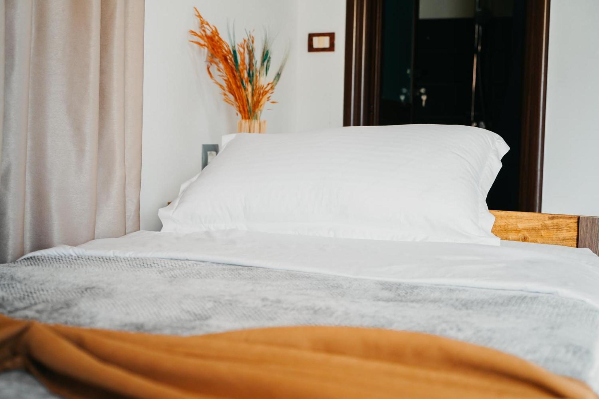 Bujtina Anlu Hotel Nepravishte Eksteriør billede