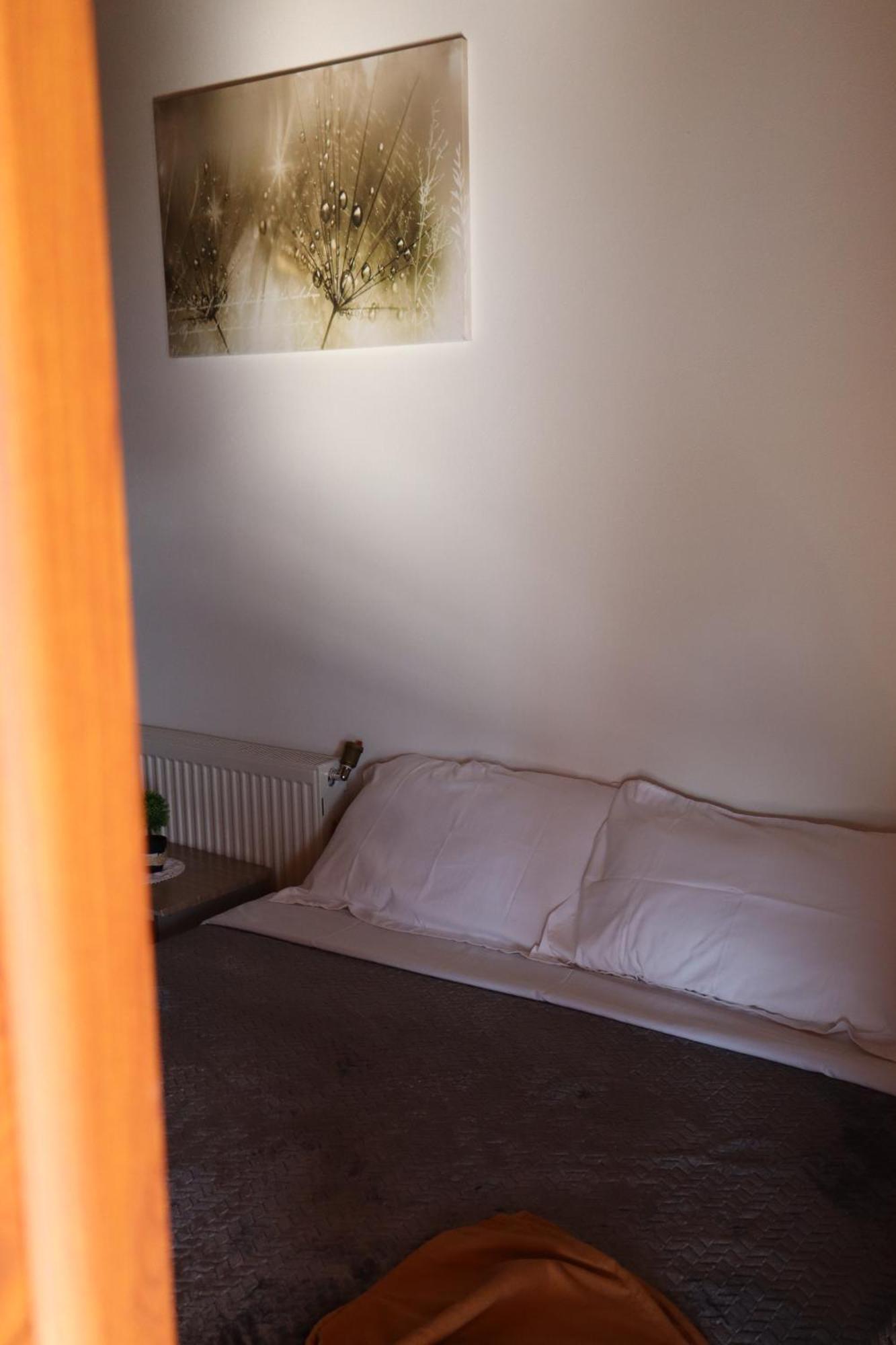 Bujtina Anlu Hotel Nepravishte Eksteriør billede