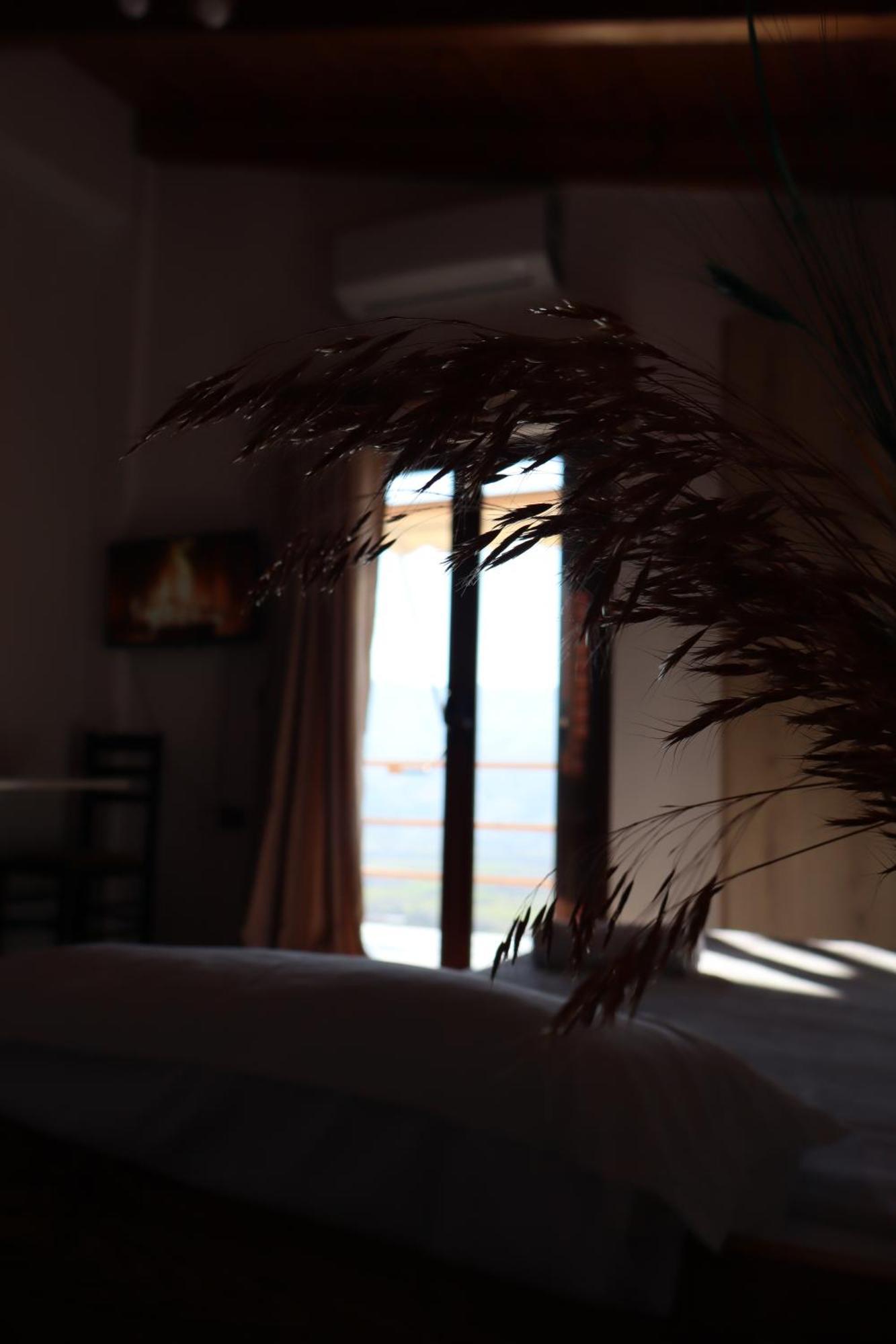 Bujtina Anlu Hotel Nepravishte Eksteriør billede